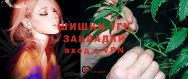 дурь Бородино