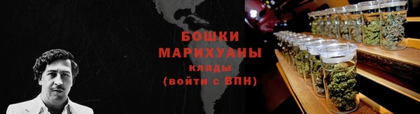 дурь Бородино