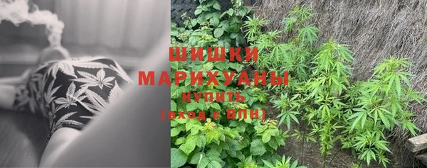 ГАЛЛЮЦИНОГЕННЫЕ ГРИБЫ Бронницы